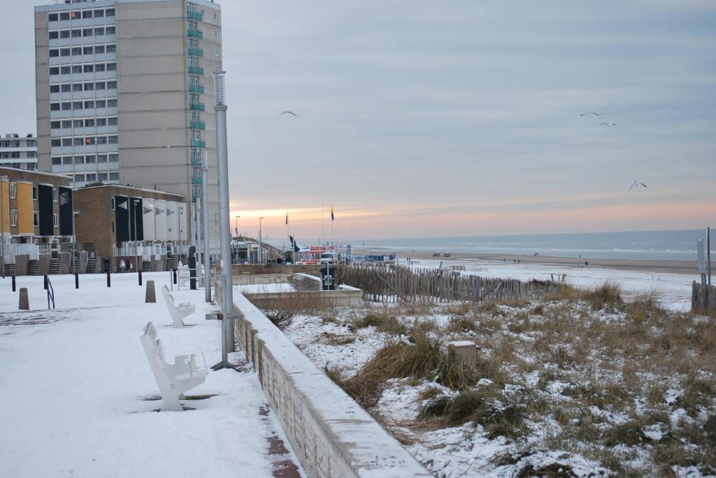 Appartement In Zandvoort Extérieur photo